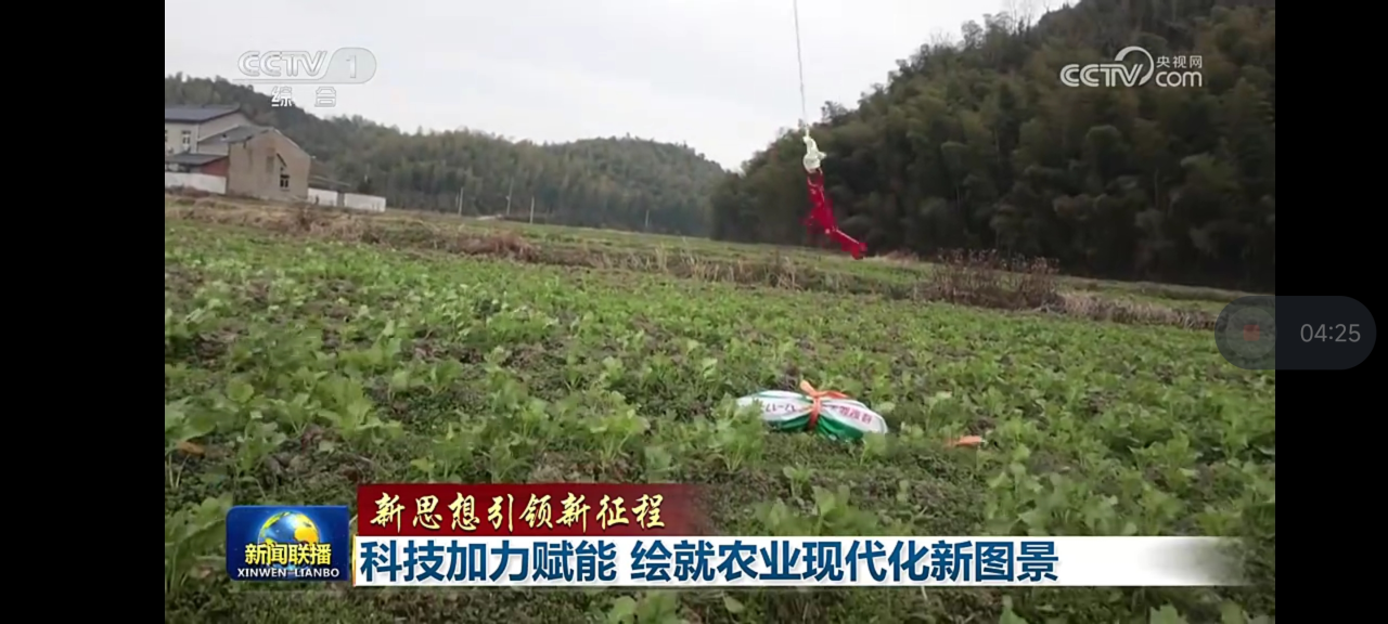 图片 11.png